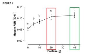cuanta proteina whey tomar