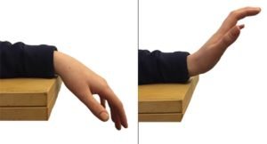 flexion y extension de muñeca