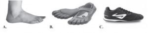 vibrams sentadillas