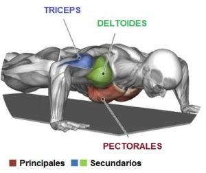 BENEFICIOS FLEXIONES