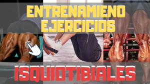 Ejercicios para isquiotibiales y entrenamiento
