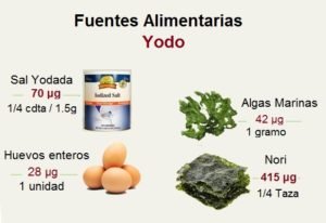 Alimentos Fuentes de Yodo
