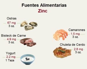Alimentos Fuentes de Zinc
