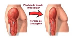 dejar de entrenar perder masa muscular