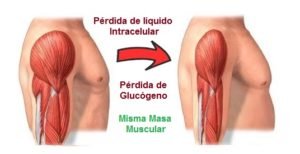 dejar de entrenar perder masa muscular
