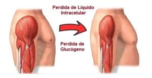 dejar de entrenar perder masa muscular