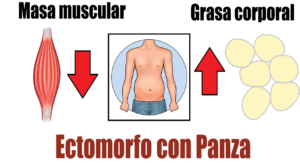 ectomorfo con panza