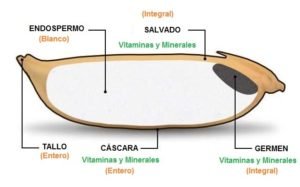 Arroz integral y blanco diferencias