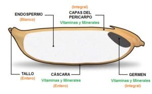 Arroz integral y blanco diferencias