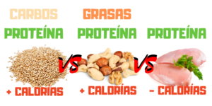 PROTEINA VEGETAL VS PROTEINA ANIMAL