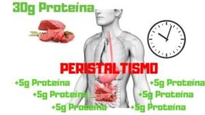 cuanta proteina se absorbe por comida
