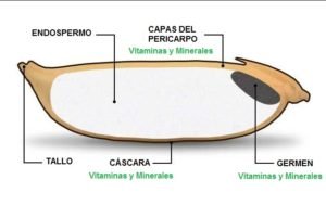 diferencias arroz blanco integral