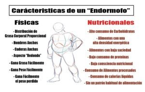 endomorfo caracteristicas