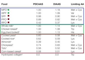 proteina vegetal vs animal calidad