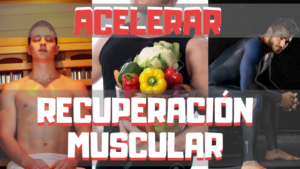 recuperacion muscular