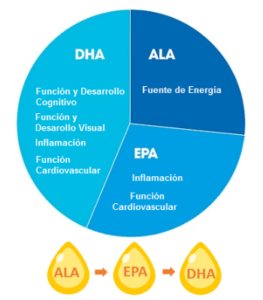 tipos de omega 3 diferencias