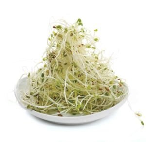 brotes de alfalfa propiedades