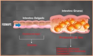 fodmaps intestino