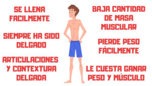 Ectomorfo caracteristicas