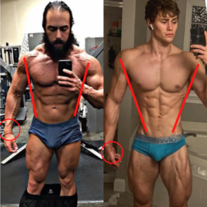 genetica ectomorfo