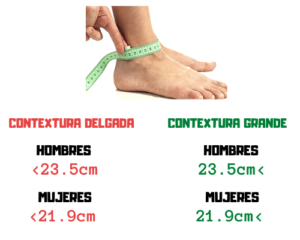 tipo cuerpo mesomorfo