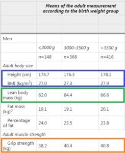 MESOMORFO MASA MUSCULAR